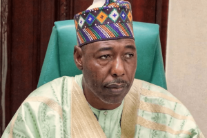 Boko Haram: ‘Western Nations Have Shown Borno More Concern Than Arab Countries,’ Zulum says