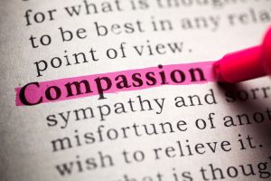 Fake Dictionary, definition of the word compassion.