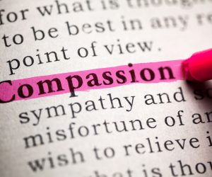 Fake Dictionary, definition of the word compassion.