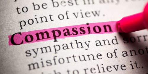 Fake Dictionary, definition of the word compassion.