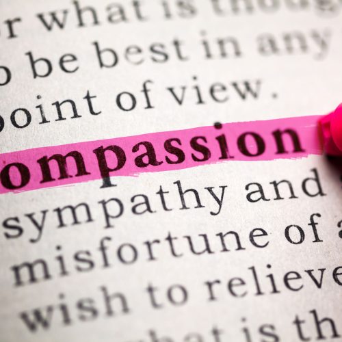 Fake Dictionary, definition of the word compassion.