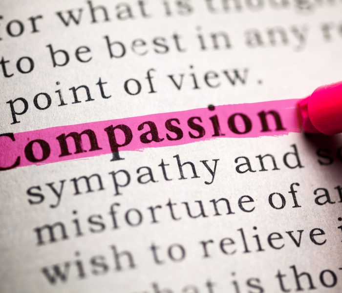 Fake Dictionary, definition of the word compassion.