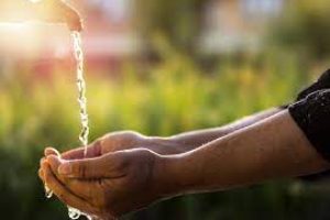 The Islamic Culture of Cleanliness: A Panacea for the Spread of Viral Diseases