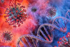 COVID-19: Quran’s Response to the Conspiracy Theories and Speculations