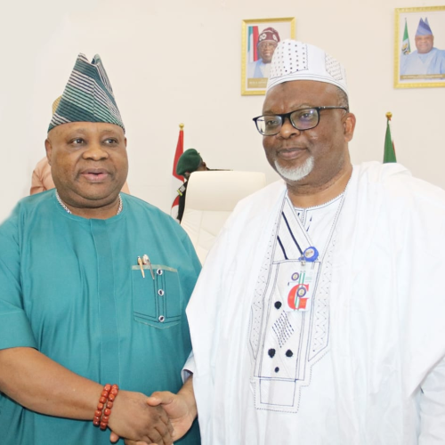 Osun Governor Commends Ahmadiyya humanitarian Services